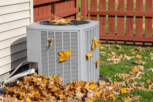 Best HVAC air duct cleaning  in Meadview, AZ